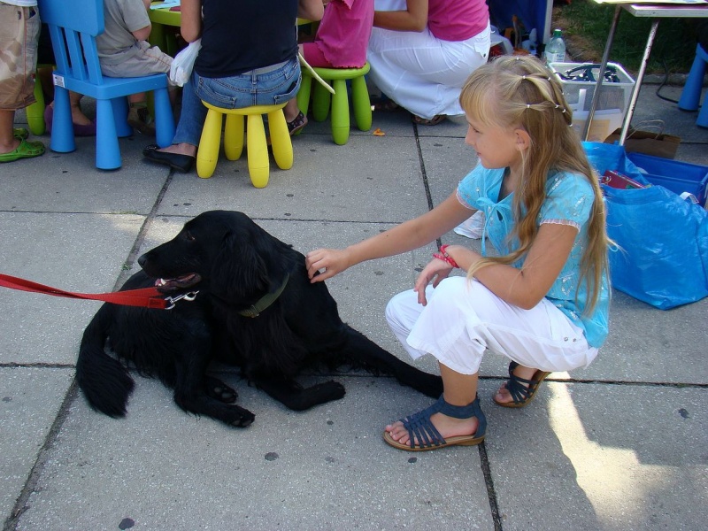 Zdjęcie w galerii na portalu naszwodzislaw.com: Gryzonie pędziły po zwycięstwo wiadomości z regionu