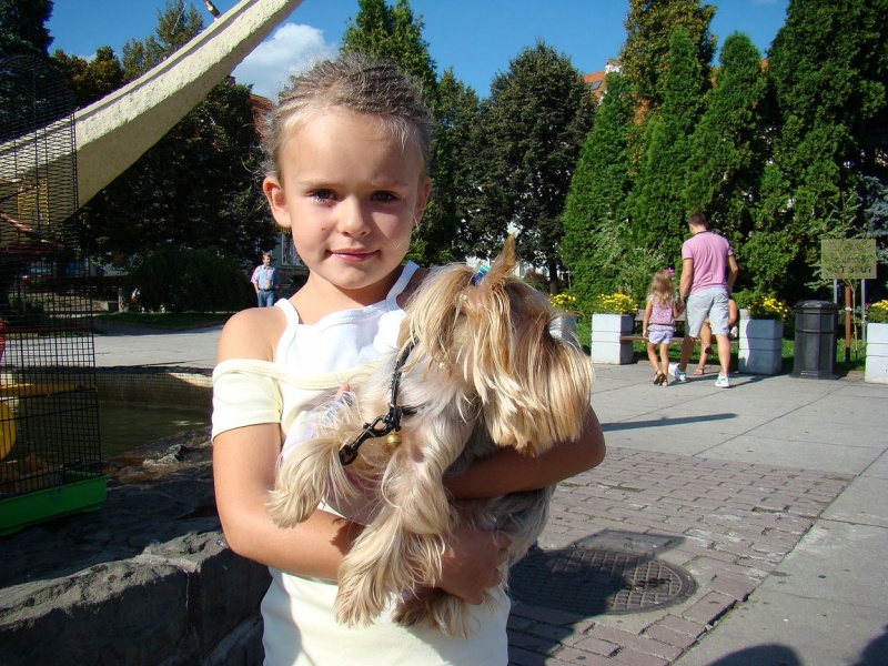 Zdjęcie w galerii na portalu naszwodzislaw.com: Gryzonie pędziły po zwycięstwo wiadomości z regionu