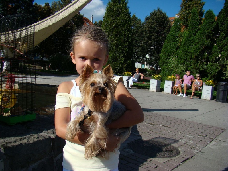 Zdjęcie w galerii na portalu naszwodzislaw.com: Gryzonie pędziły po zwycięstwo wiadomości z regionu