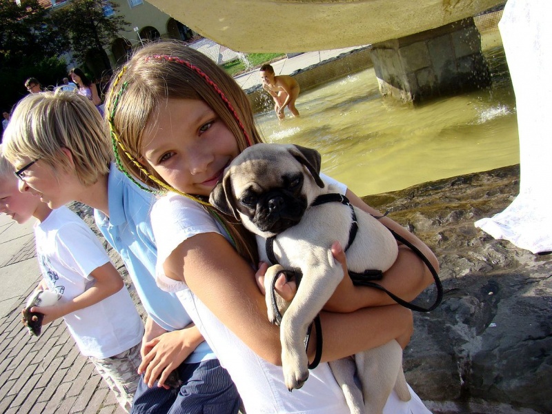 Zdjęcie w galerii na portalu naszwodzislaw.com: Gryzonie pędziły po zwycięstwo wiadomości z regionu