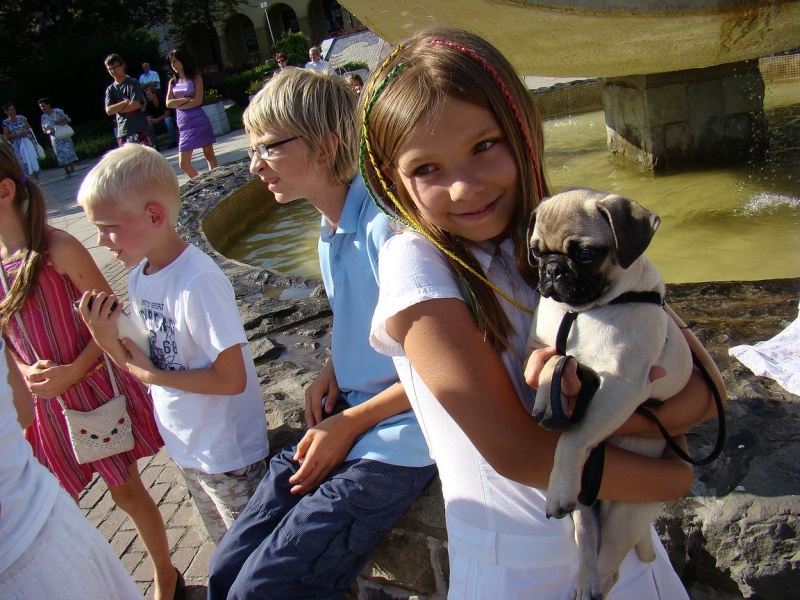 Zdjęcie w galerii na portalu naszwodzislaw.com: Gryzonie pędziły po zwycięstwo wiadomości z regionu