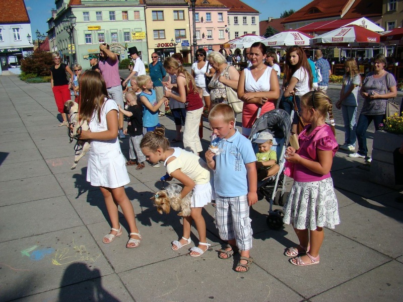 Zdjęcie w galerii na portalu naszwodzislaw.com: Gryzonie pędziły po zwycięstwo wiadomości z regionu