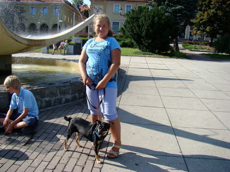 Zdjęcie w galerii na portalu naszwodzislaw.com: Gryzonie pędziły po zwycięstwo wiadomości z regionu