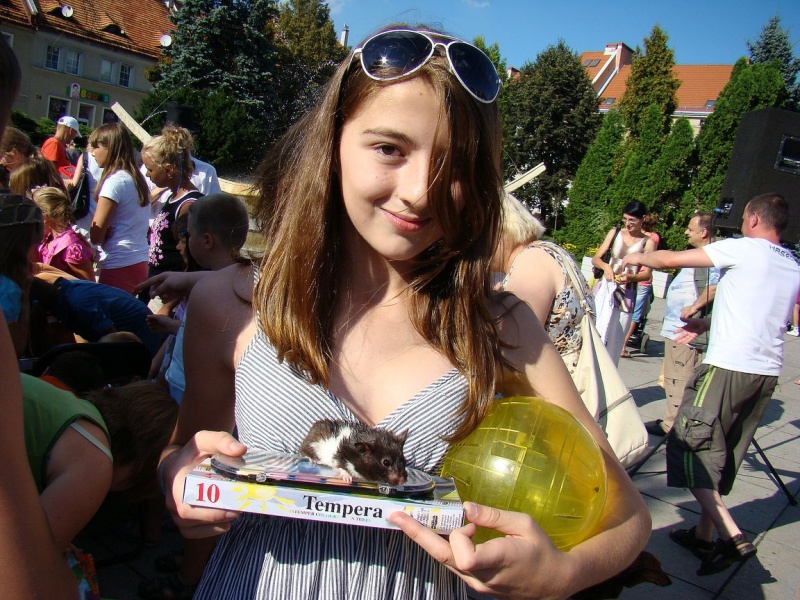 Zdjęcie w galerii na portalu naszwodzislaw.com: Gryzonie pędziły po zwycięstwo wiadomości z regionu