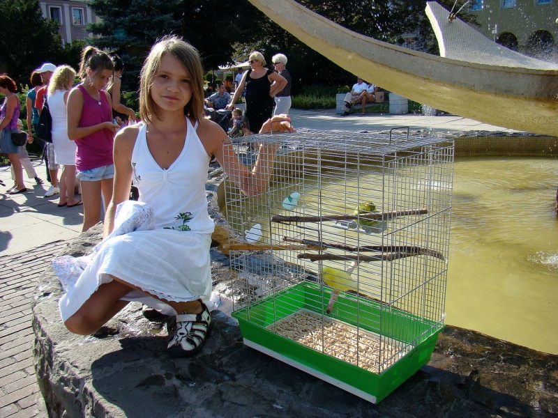 Zdjęcie w galerii na portalu naszwodzislaw.com: Gryzonie pędziły po zwycięstwo wiadomości z regionu