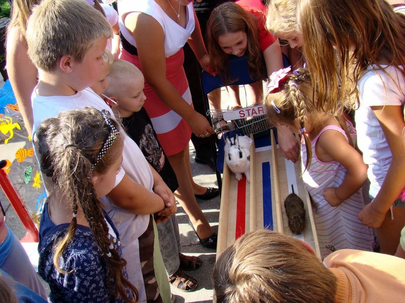 Zdjęcie w galerii na portalu naszwodzislaw.com: Gryzonie pędziły po zwycięstwo wiadomości z regionu