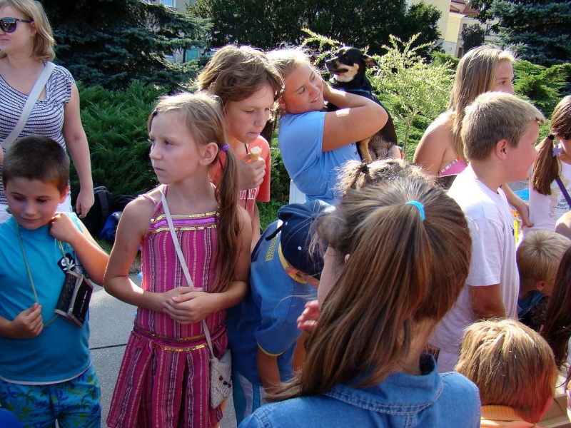 Zdjęcie w galerii na portalu naszwodzislaw.com: Gryzonie pędziły po zwycięstwo wiadomości z regionu