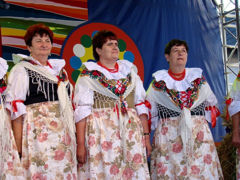 Zdjęcie w galerii na portalu naszwodzislaw.com: W Turzy już po dożynkach wiadomości z regionu