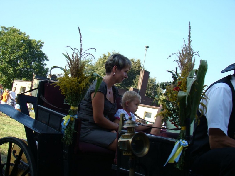 Zdjęcie w galerii na portalu naszwodzislaw.com: Każdy mógł przejechać się bryczką wiadomości z regionu