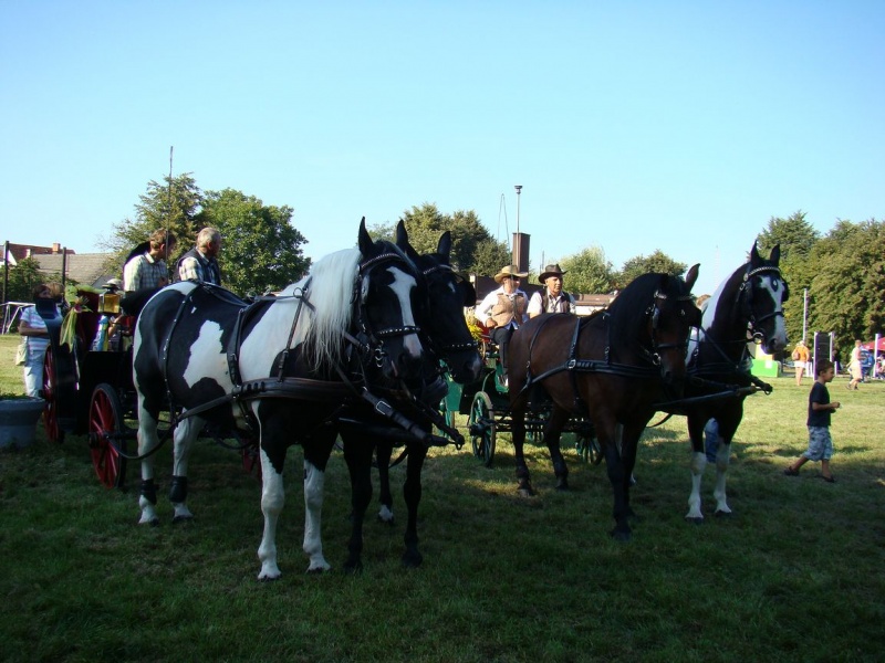 Zdjęcie w galerii na portalu naszwodzislaw.com: Każdy mógł przejechać się bryczką wiadomości z regionu