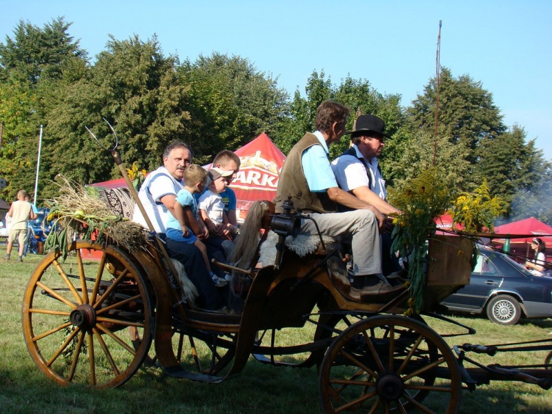 Zdjęcie w galerii na portalu naszwodzislaw.com: Każdy mógł przejechać się bryczką wiadomości z regionu