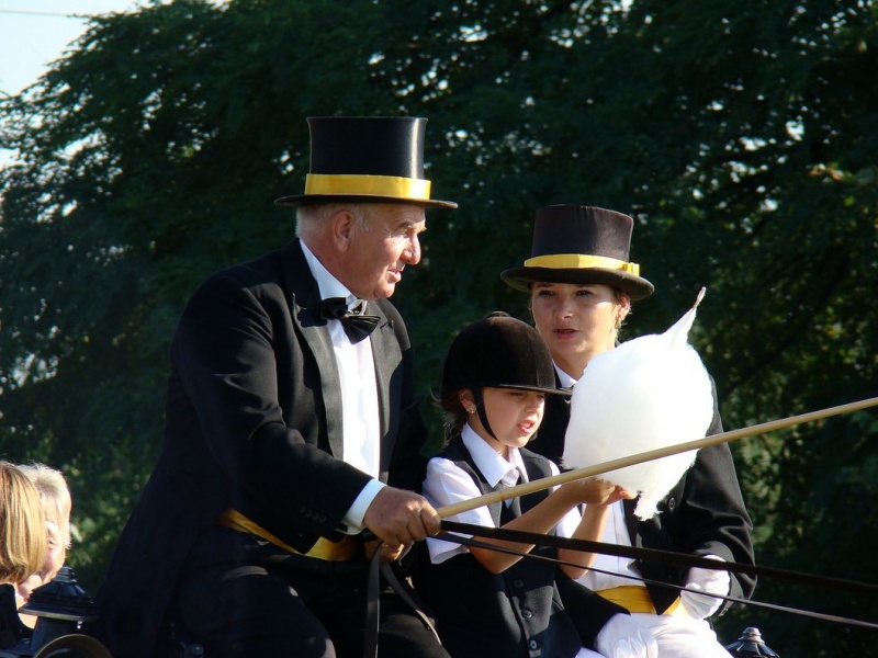 Zdjęcie w galerii na portalu naszwodzislaw.com: Każdy mógł przejechać się bryczką wiadomości z regionu