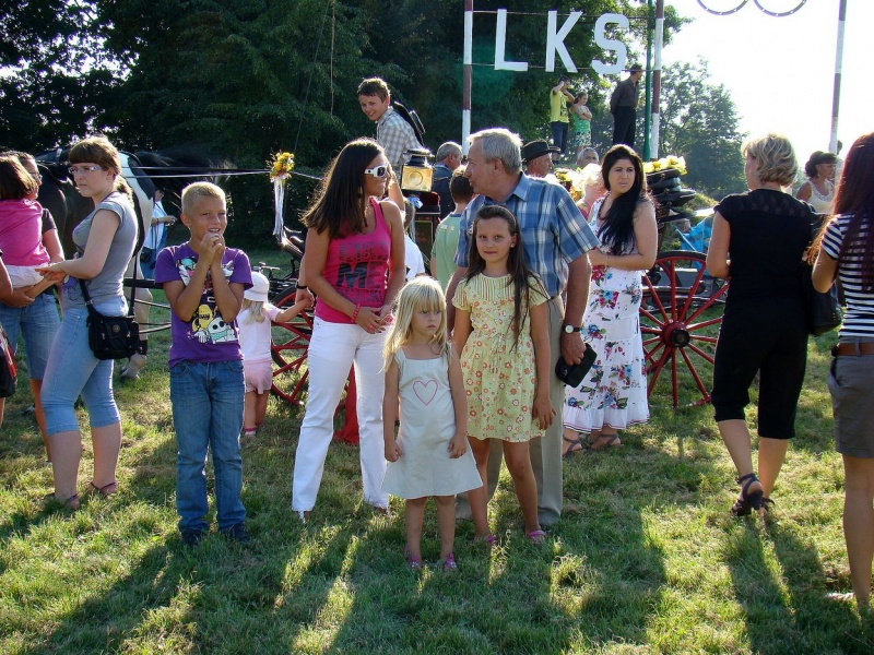 Zdjęcie w galerii na portalu naszwodzislaw.com: Każdy mógł przejechać się bryczką wiadomości z regionu