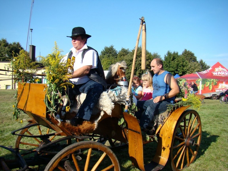 Zdjęcie w galerii na portalu naszwodzislaw.com: Każdy mógł przejechać się bryczką wiadomości z regionu