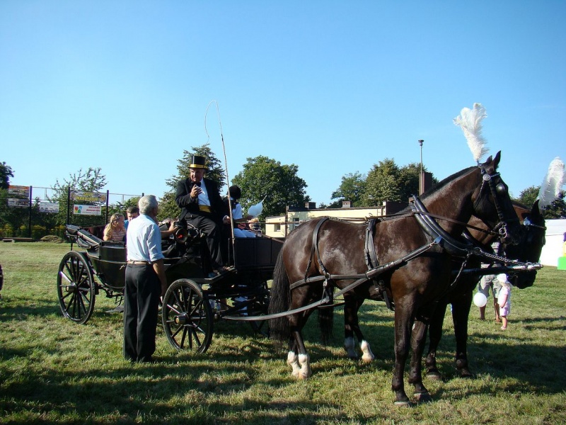 Zdjęcie w galerii na portalu naszwodzislaw.com: Każdy mógł przejechać się bryczką wiadomości z regionu