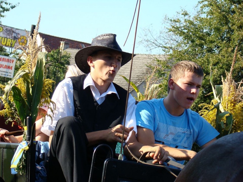 Zdjęcie w galerii na portalu naszwodzislaw.com: Każdy mógł przejechać się bryczką wiadomości z regionu