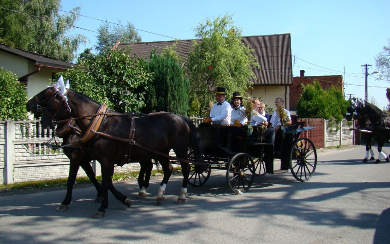 Zdjęcie w galerii na portalu naszwodzislaw.com: Nieboczowski Must be the music wiadomości z regionu