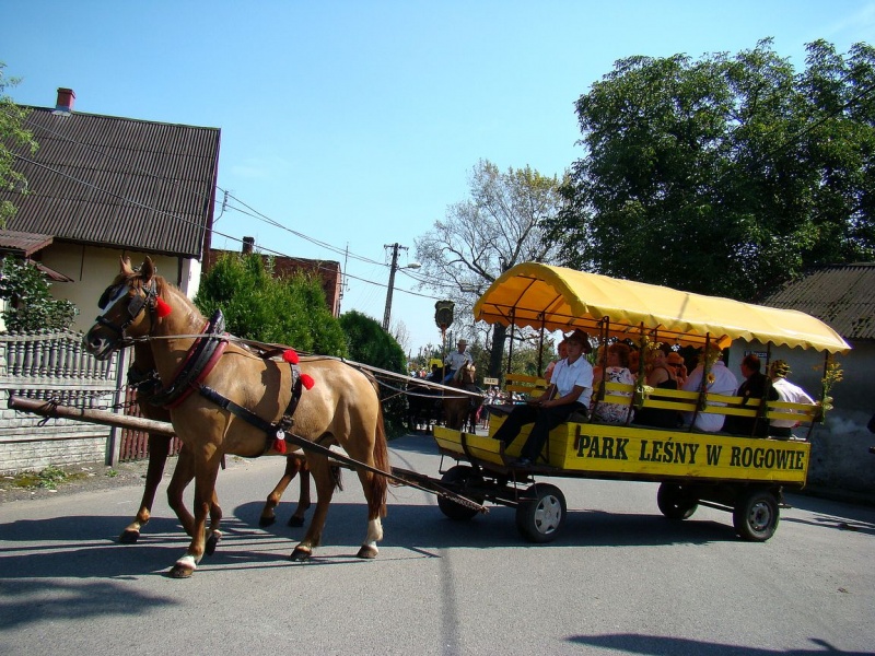 Zdjęcie w galerii na portalu naszwodzislaw.com: Nieboczowski Must be the music wiadomości z regionu