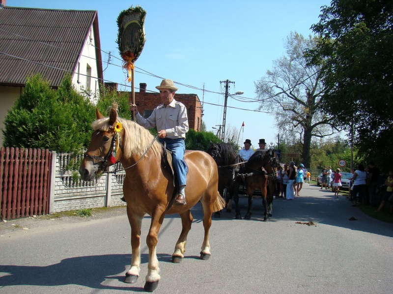 Zdjęcie w galerii na portalu naszwodzislaw.com: Nieboczowski Must be the music wiadomości z regionu