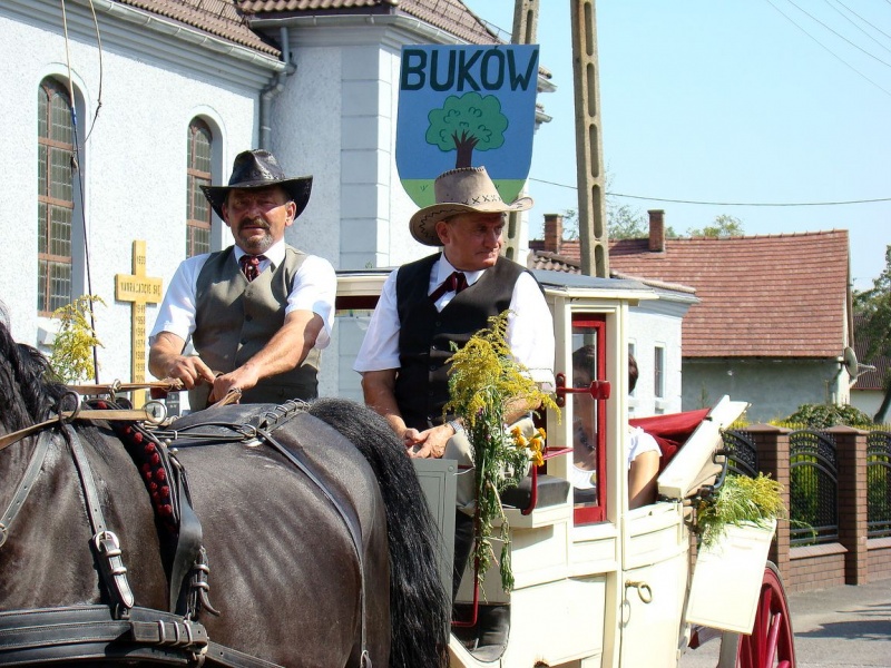 Zdjęcie w galerii na portalu naszwodzislaw.com: Nieboczowski Must be the music wiadomości z regionu