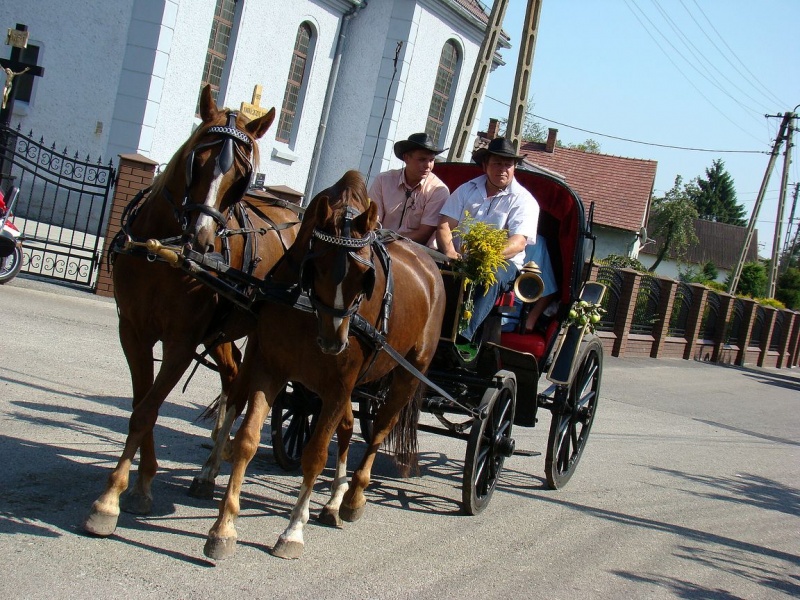Zdjęcie w galerii na portalu naszwodzislaw.com: Nieboczowski Must be the music wiadomości z regionu