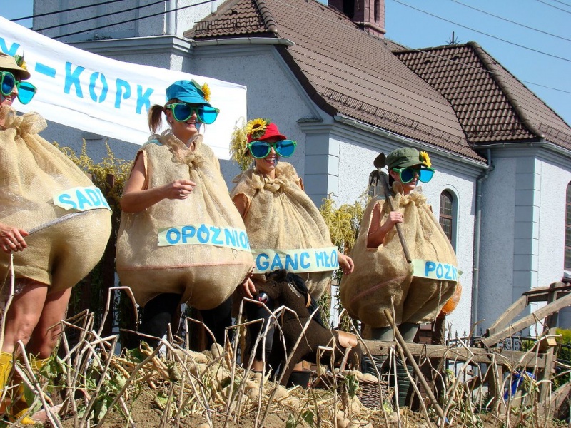 Zdjęcie w galerii na portalu naszwodzislaw.com: Nieboczowski Must be the music wiadomości z regionu