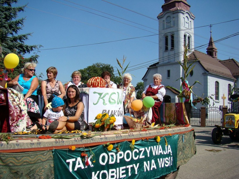 Zdjęcie w galerii na portalu naszwodzislaw.com: Nieboczowski Must be the music wiadomości z regionu
