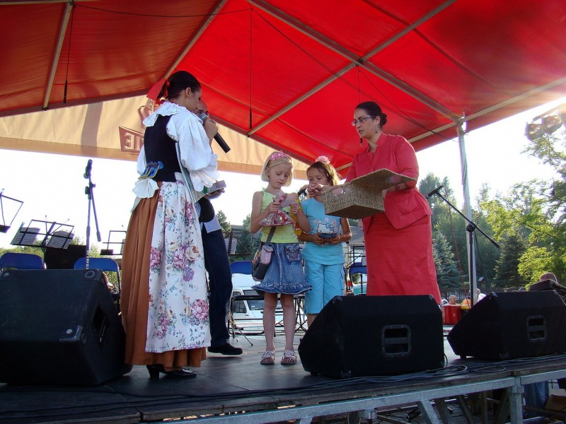 Zdjęcie w galerii na portalu naszwodzislaw.com: Sobotni festyn w Radlinie II  wiadomości z regionu