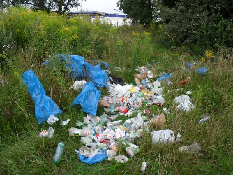 Zdjęcie w galerii na portalu naszwodzislaw.com: Skwer przy Witosa uprzątnięty wiadomości z regionu