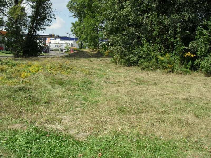 Zdjęcie w galerii na portalu naszwodzislaw.com: Skwer przy Witosa uprzątnięty wiadomości z regionu