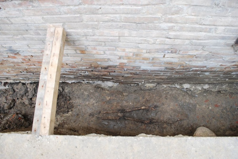 Zdjęcie w galerii na portalu naszwodzislaw.com: Archeolodzy odkryli ludzkie szczątki wiadomości z regionu