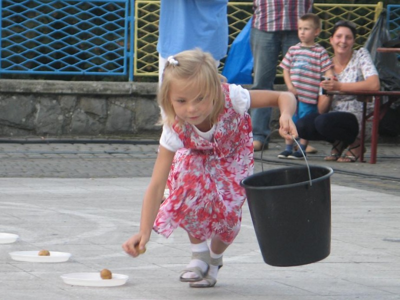 Zdjęcie w galerii na portalu naszwodzislaw.com: Serducho, Ziemniaczura i Foczka wiadomości z regionu