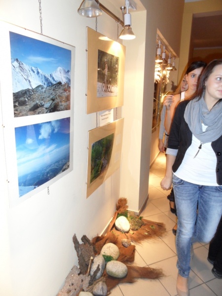 Zdjęcie w galerii na portalu naszwodzislaw.com: O Tatrach w bibliotece wiadomości z regionu