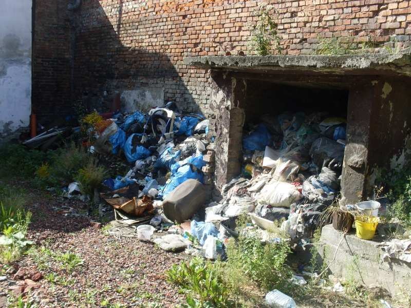 Zdjęcie w galerii na portalu naszwodzislaw.com: Zastępcze sprzątanie na Michalskiego wiadomości z regionu