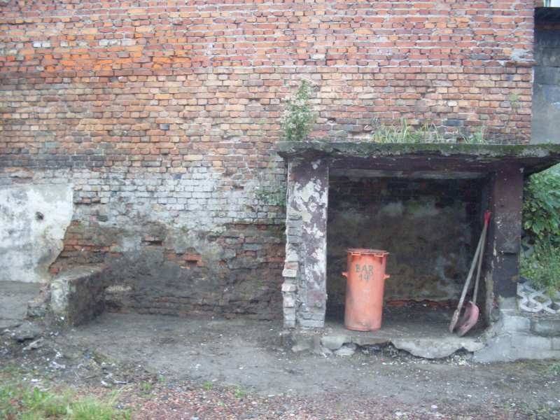 Zdjęcie w galerii na portalu naszwodzislaw.com: Zastępcze sprzątanie na Michalskiego wiadomości z regionu