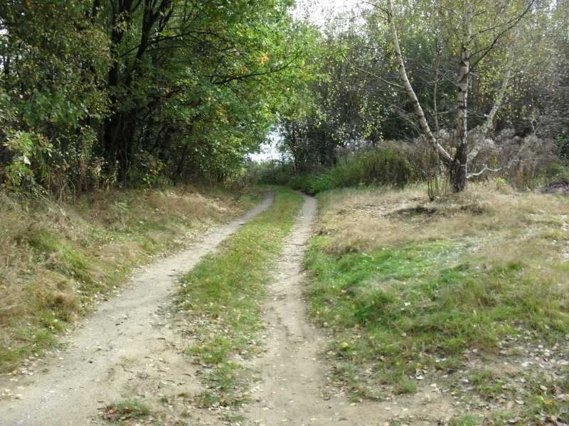 Zdjęcie w galerii na portalu naszwodzislaw.com: Zniknęły ramy okienne i telewizory wiadomości z regionu