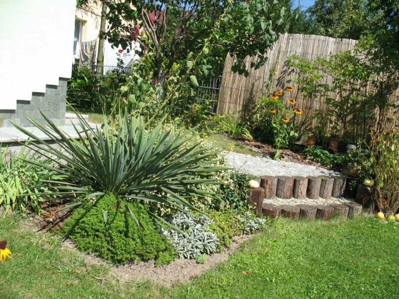 Zdjęcie w galerii na portalu naszwodzislaw.com: Najpiękniejszy ogród wybrany wiadomości z regionu