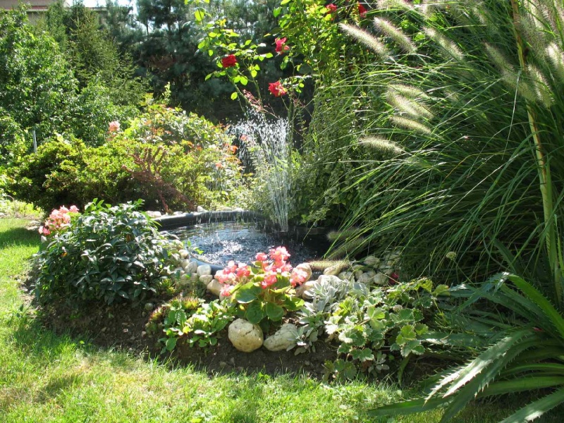 Zdjęcie w galerii na portalu naszwodzislaw.com: Najpiękniejszy ogród wybrany wiadomości z regionu