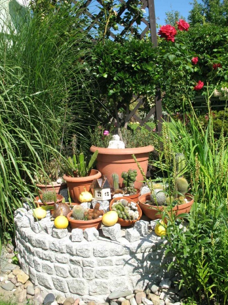 Zdjęcie w galerii na portalu naszwodzislaw.com: Najpiękniejszy ogród wybrany wiadomości z regionu