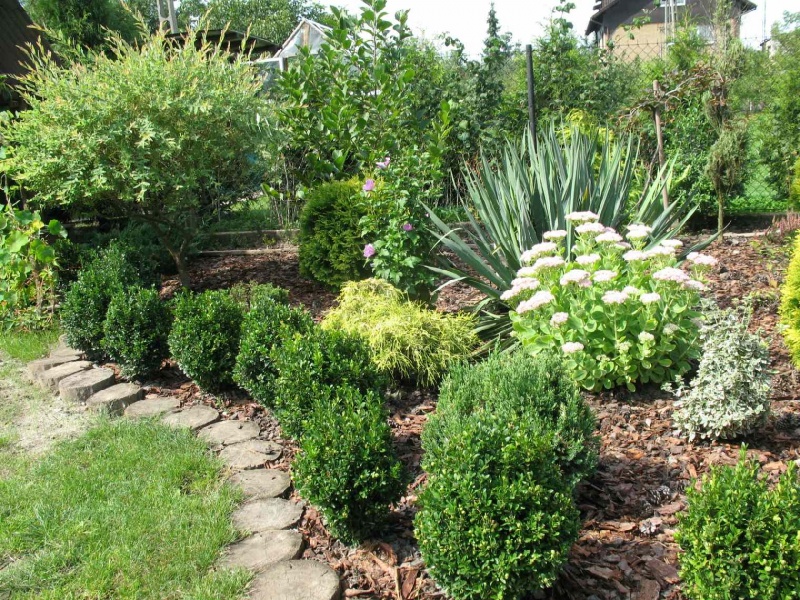 Zdjęcie w galerii na portalu naszwodzislaw.com: Najpiękniejszy ogród wybrany wiadomości z regionu