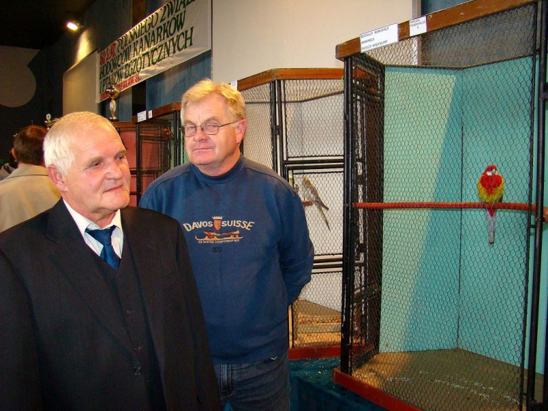 Zdjęcie w galerii na portalu naszwodzislaw.com: Rozella białolica nie bała się ludzi wiadomości z regionu