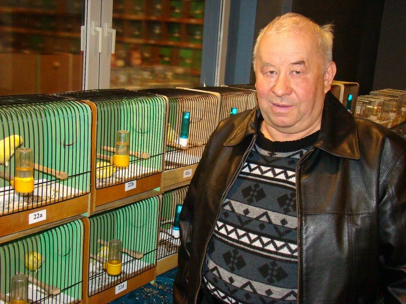 Zdjęcie w galerii na portalu naszwodzislaw.com: Rozella białolica nie bała się ludzi wiadomości z regionu