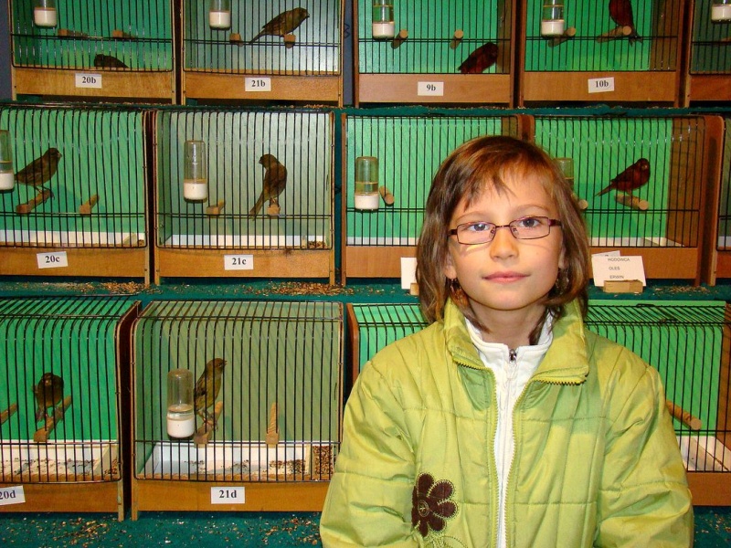 Zdjęcie w galerii na portalu naszwodzislaw.com: Rozella białolica nie bała się ludzi wiadomości z regionu