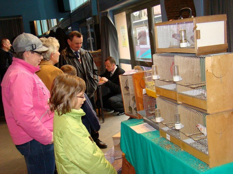 Zdjęcie w galerii na portalu naszwodzislaw.com: Rozella białolica nie bała się ludzi wiadomości z regionu