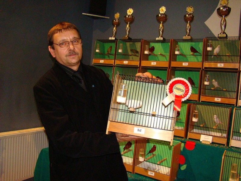 Zdjęcie w galerii na portalu naszwodzislaw.com: Rozella białolica nie bała się ludzi wiadomości z regionu