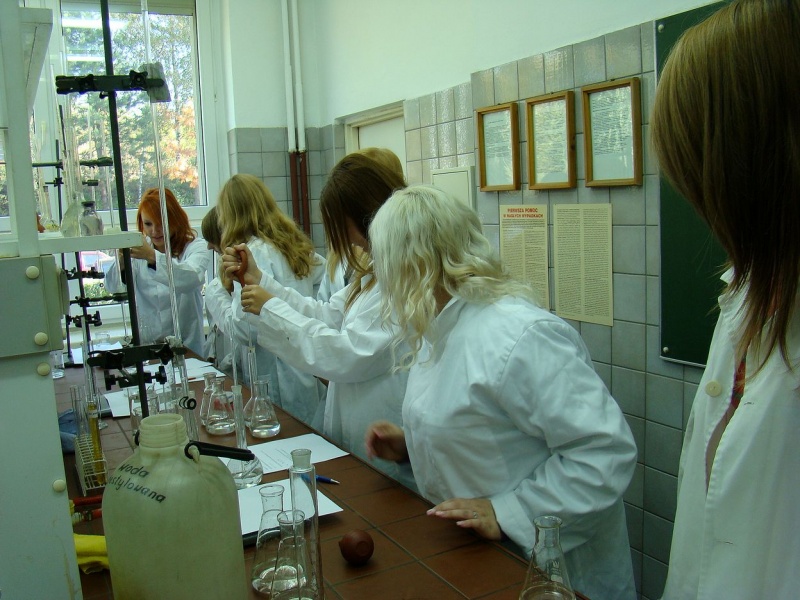 Zdjęcie w galerii na portalu naszwodzislaw.com: Żeby wybór nie był dziełem przypadku wiadomości z regionu