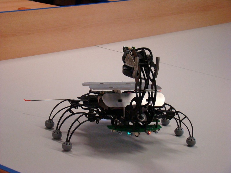 Zdjęcie w galerii na portalu naszwodzislaw.com: Żeby wybór nie był dziełem przypadku wiadomości z regionu