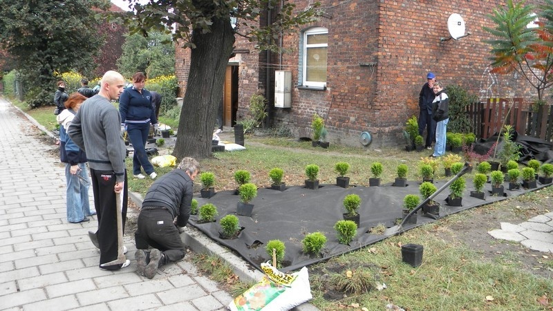 Zdjęcie w galerii na portalu naszwodzislaw.com: Sami wyremontowali klatkę schodową wiadomości z regionu