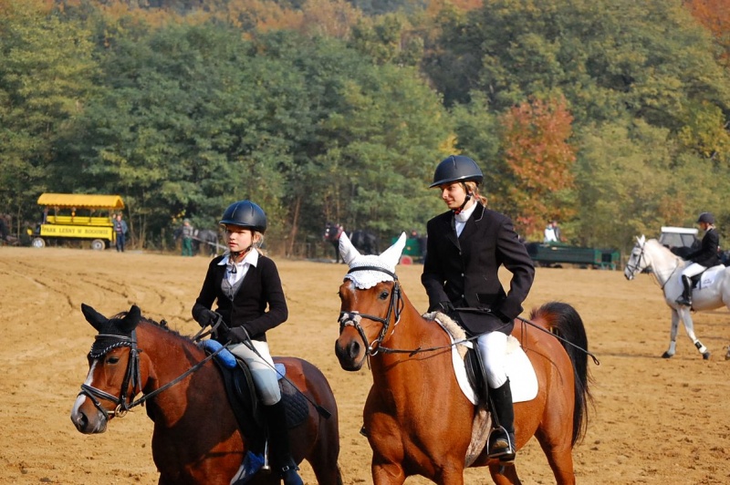 Zdjęcie w galerii na portalu naszwodzislaw.com: Hubertus u Kaczyny w Rogowie wiadomości z regionu