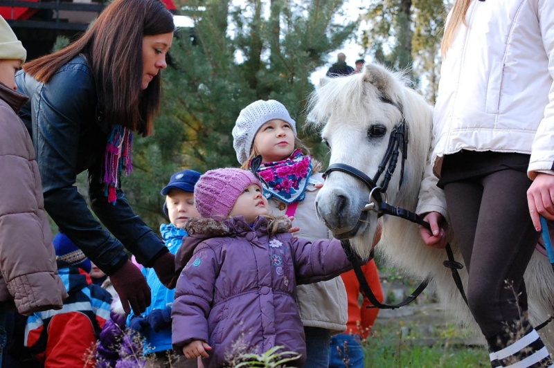 Zdjęcie w galerii na portalu naszwodzislaw.com: Hubertus u Kaczyny w Rogowie wiadomości z regionu
